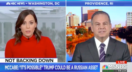 Cicilline on MSNBC 