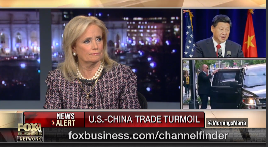 Debbie Dingell fox 5.16 